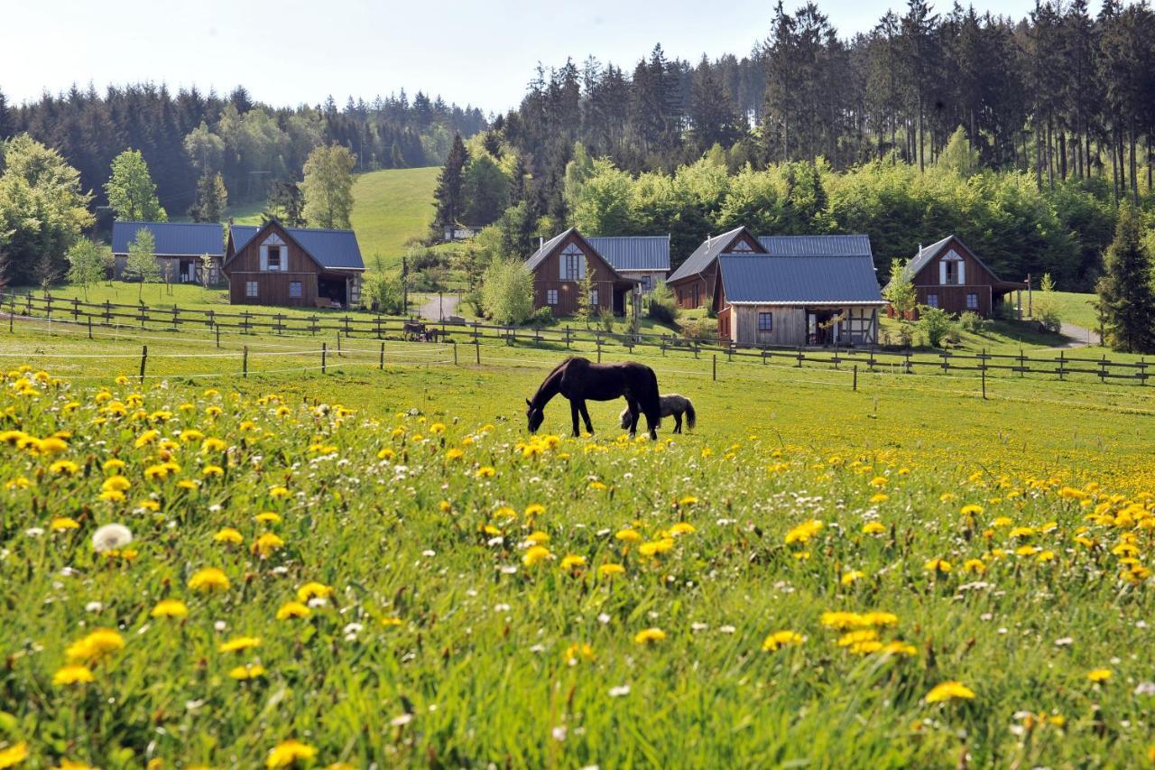 Bergdorf Liebesgruen Schmallenberg Exterior foto
